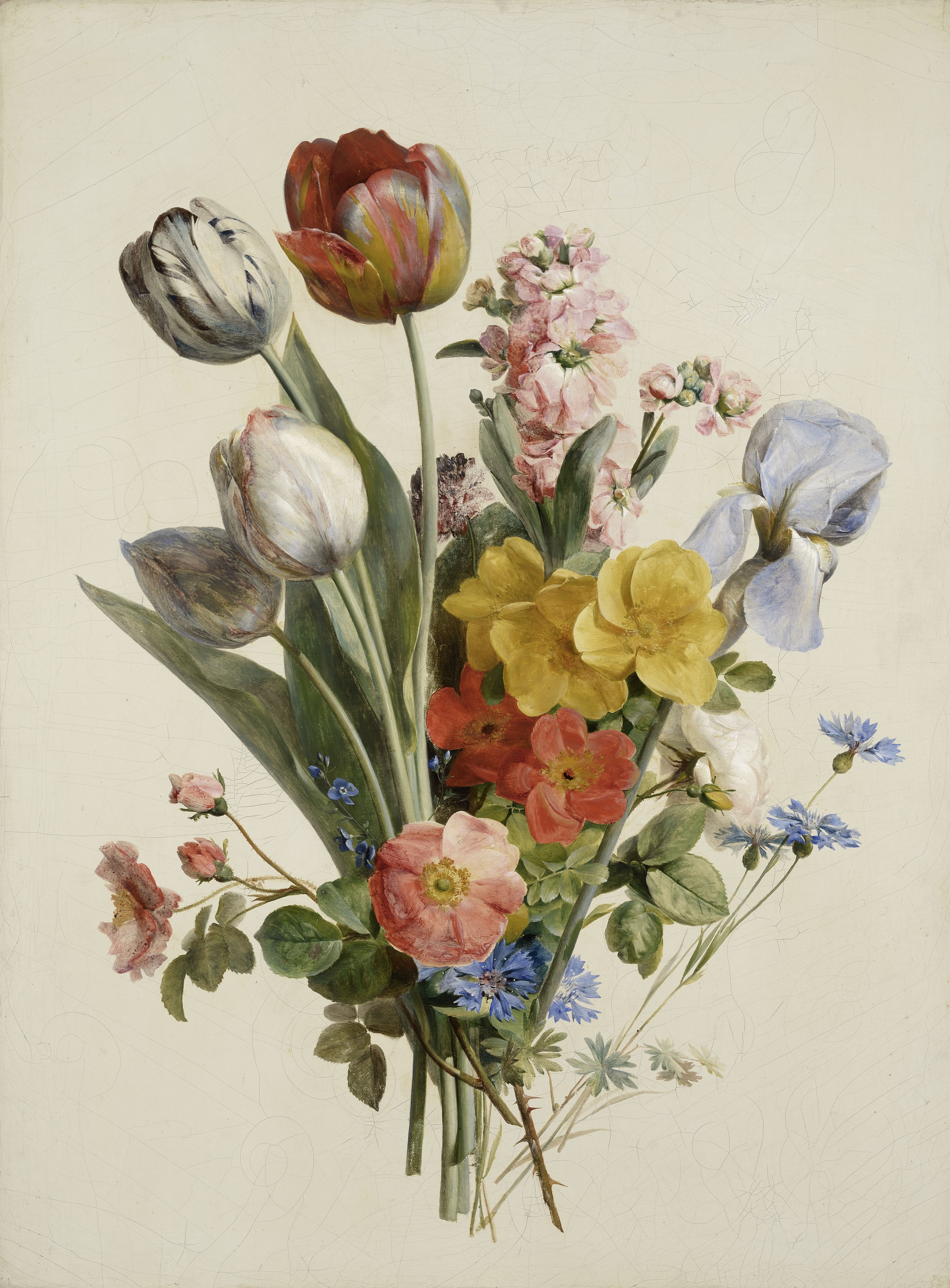 Antoine Berjon, Fleurs sur un fond blanc